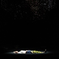 Like flesh (Opéra national de Lorraine)