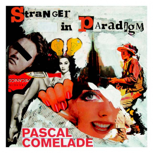 Stranger in Paradigm