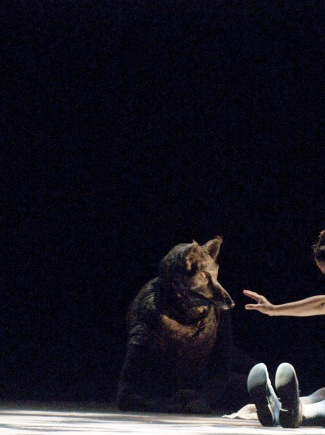 Le Petit Chaperon Rouge