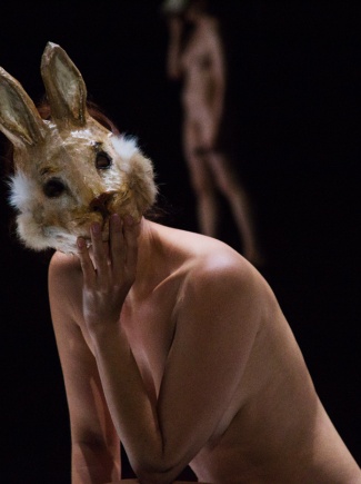 Appel à participation "A mon seul désir"