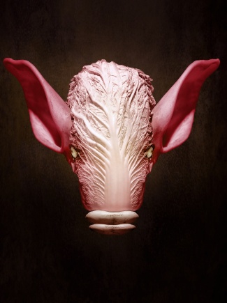 LES DIABLES / ANNULÉ